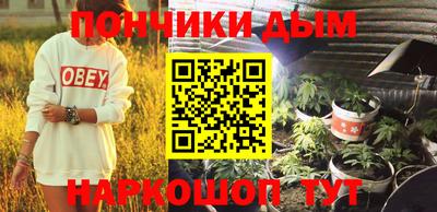 шишки Можга